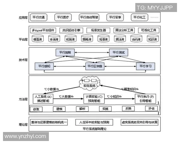 杭州乒乓球队战术解析与发展策略的深度探讨与展望
