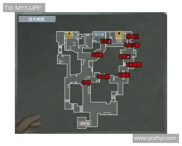 重庆排球队防守体系解析与战术创新探讨 重庆排球队防守体系解析与战术创新探讨