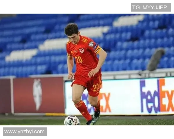 2021威尔士足球明星的辉煌时刻与未来展望分析