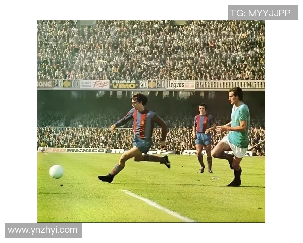 历史上最伟大的足球明星盘点与他们的传奇故事分享